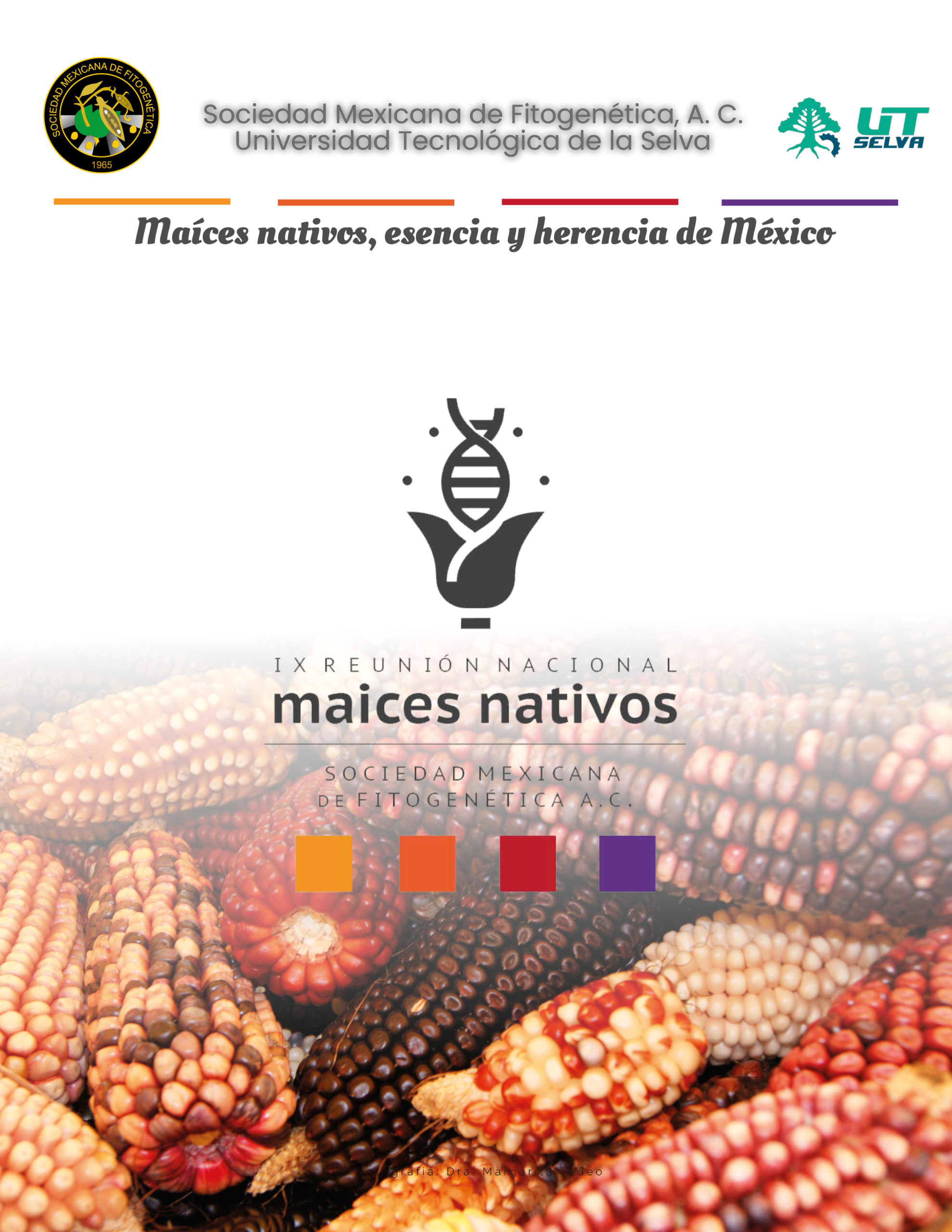 Convocatoria- IX REUNIÓN NACIONAL DE MAÍCES NATIVOS 2022